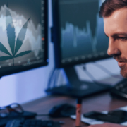 3 Marijuana Stocks To Watch In Todays Stock Market 2023