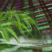Budding Opportunities: US Marijuana Stocks to Watch During August
