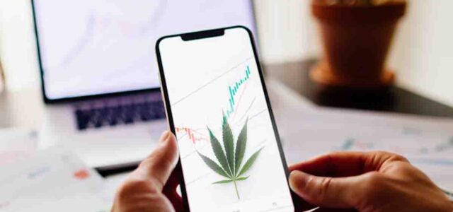 Cannabis REIT Spotlight: Top Picks for September 2023 Investment