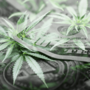 Committee Blog: Banking in the Cannabis World