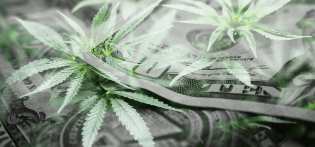 Committee Blog: Banking in the Cannabis World