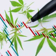 Cultivating Profits: Exploring Top Ancillary Cannabis Stocks In August