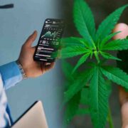 Growing Your Portfolio: Ancillary Cannabis Stocks to Watch in Q4 2023