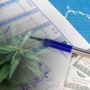 Mid-August 2023 Watchlist: Promising Canadian Cannabis Penny Stocks for Traders