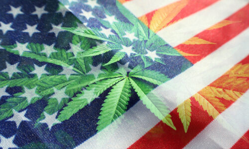 Slightly higher times: Biden administration moves to loosen weed restrictions