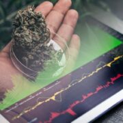 The Best List Of Marijuana Stocks In The Sector Today