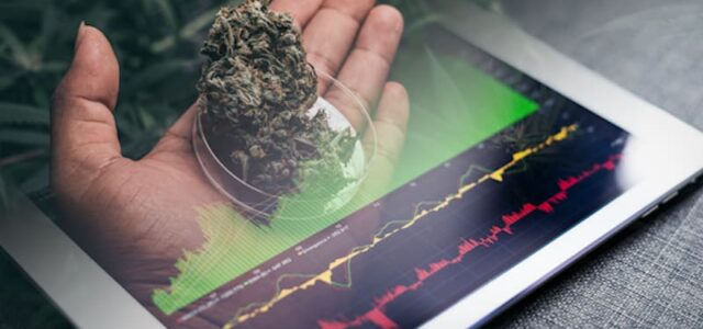 The Best List Of Marijuana Stocks In The Sector Today