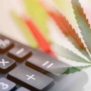 Top Cannabis REITs to Watch in August 2023: Navigating Dividends and Long-Term Prospects