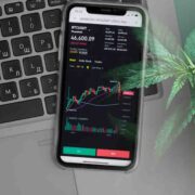 Top Marijuana Penny Stocks for August: Upcoming Trends and Potential Gains