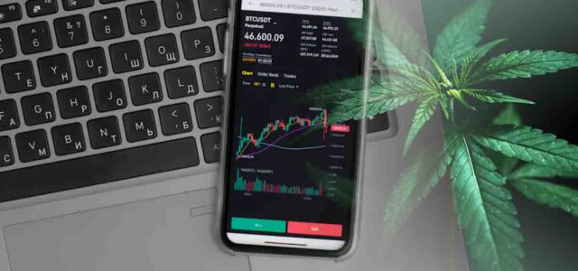 Top Marijuana Penny Stocks for August: Upcoming Trends and Potential Gains