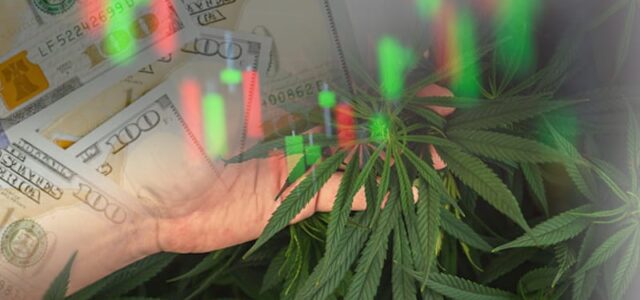 Top Marijuana Stocks For Your Investors To Buy