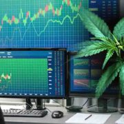 Top Marijuana Stocks To Buy For Future Gains