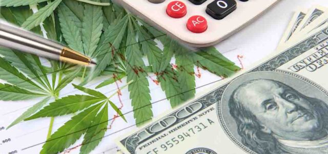Top US Marijuana Stocks to Watch in August 2023