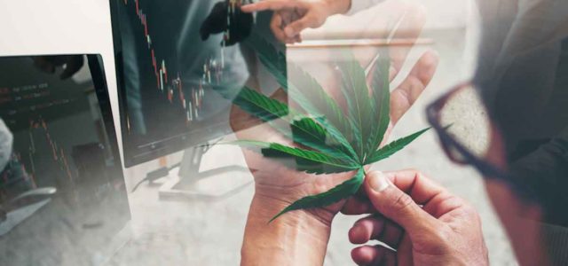 3 Top Marijuana Stocks To Buy This Monday?