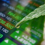 Ancillary Marijuana Stocks to Watch Before Q4 2023