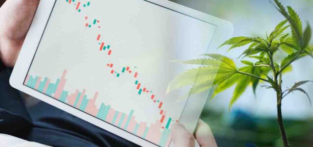 Budding Opportunities: Ancillary Cannabis Stocks Ready to Bloom