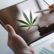 Emerging Trends: Top Ancillary Cannabis Stocks for the Future