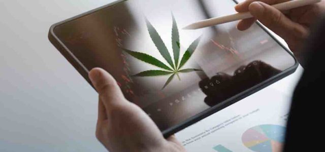Emerging Trends: Top Ancillary Cannabis Stocks for the Future