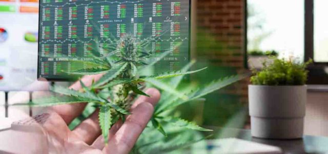 Investor’s Radar: Canadian Cannabis Stocks Worth Watching in October 2023