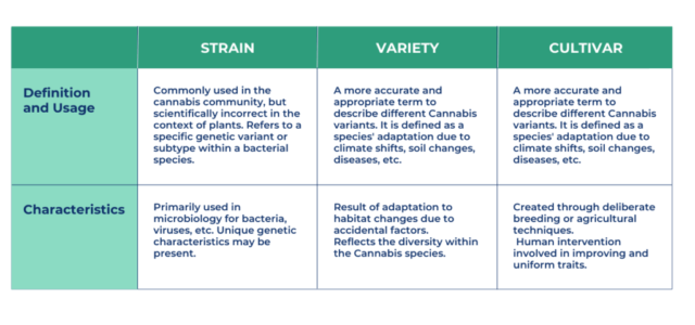 Member Blog: Cannabis Strain, Cultivar, or Variety? What Is the Correct Term?