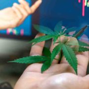 October Pot Stock Watchlist: Exploring Penny Stocks in the Cannabis Sector