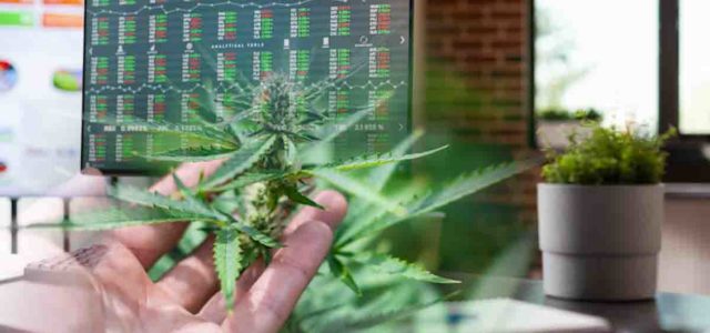 These 3 Marijuana Stocks Could See A Bounce This Week