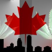 These Canadian Marijuana Stocks Are Top Companies To Watch