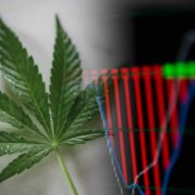 3 Marijuana Stocks To Buy Last Week Of October