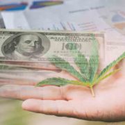 3 Marijuana Stocks To Research Before The Market Opens