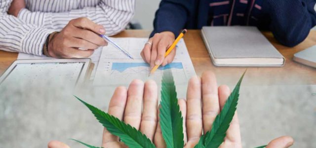 3 Marijuana Tech Stocks To Follow This Week