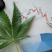 3 Top Marijuana Stocks For Better Cannabis Investing 2023