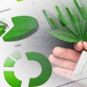 3 Top Marijuana Stocks To Know About In The Cannabis Sector Today