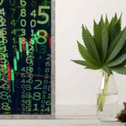 Cannabis Investing 2023 Top Marijuana Stocks For Your Portfolio
