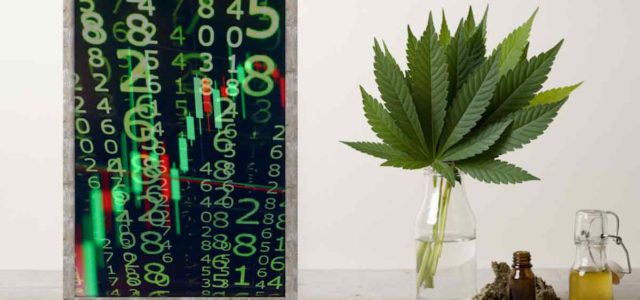 Cannabis Investing 2023 Top Marijuana Stocks For Your Portfolio