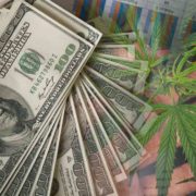 Marijuana Stocks To Buy And Add To Your 2024 Watchlist