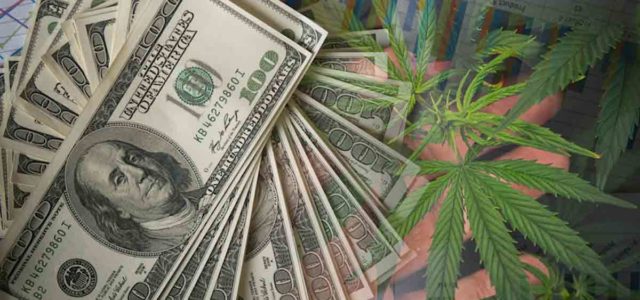 Marijuana Stocks To Buy And Add To Your 2024 Watchlist