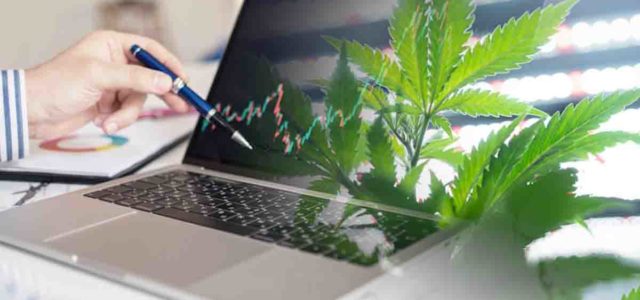 Mid-October 2023 Watchlist: Leading Ancillary Cannabis Stocks