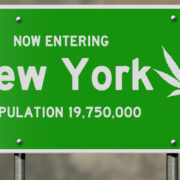 New York Cannabis: License Number Estimates