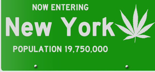 New York Cannabis: License Number Estimates