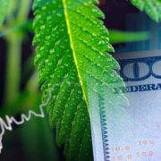 Picking Winners: Top US Cannabis Stocks to Watch in 2023