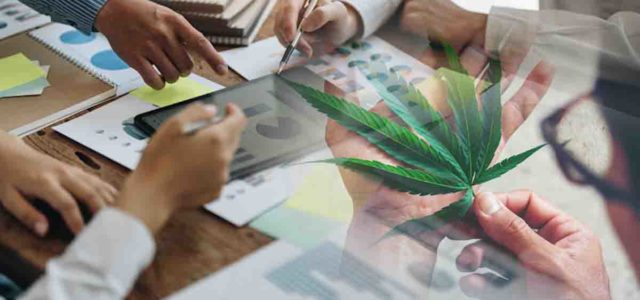 Q4 Potential: Best Canadian Marijuana Stocks for Mid-October