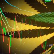 Steps To Investing In Marijuana Stocks Today