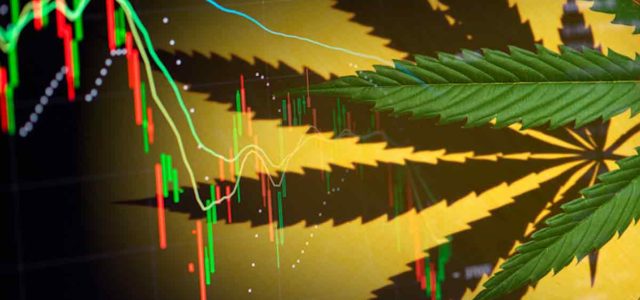 Steps To Investing In Marijuana Stocks Today