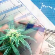 These Marijuana Stocks May Get You The Returns You Need
