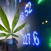 Top Canadian Cannabis Stocks to Watch in Q4 2023