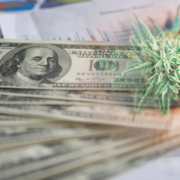 Top Cannabis REITs: Secure Your Long-Term Portfolio with Dividends for October 2023