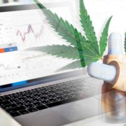 Top Marijuana Stocks For Cannabis Investing 2024