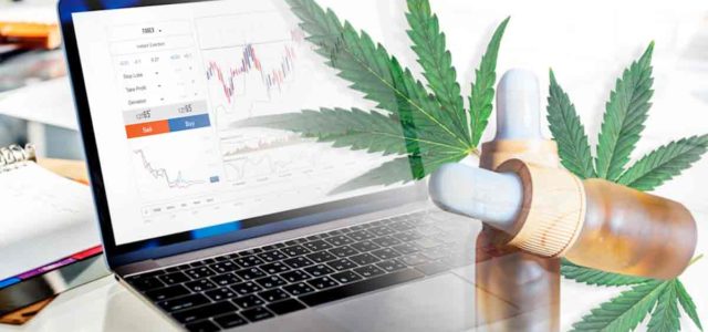 Top Marijuana Stocks For Cannabis Investing 2024