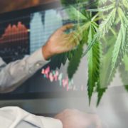 Top Marijuana Stocks To Kick Off October