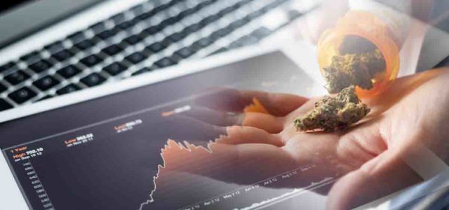 Top US Marijuana Penny Stocks to Watch Before November 2023